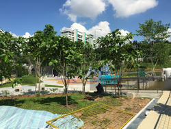 Haus@serangoon Garden (D19), Terrace #119091812